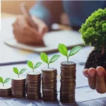 The Rise of Green Investing: Profiting From Sustainability